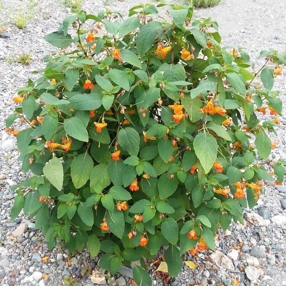 Meet your Posher, Karen - Picture 2 of 2